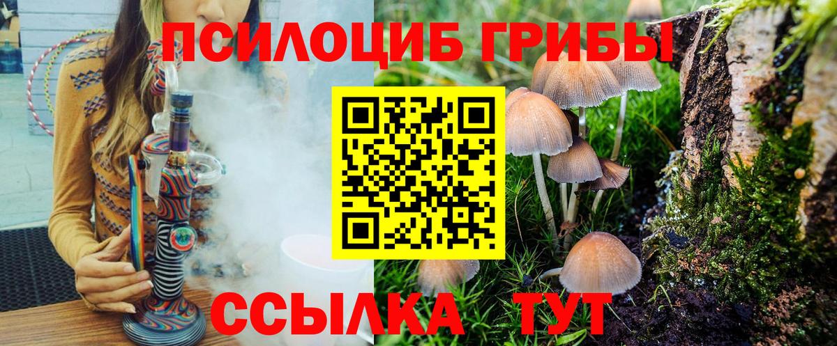 Копейск  Псилоцибиновые грибы Psilocybine cubensis  Псилоцибиновые грибы Cubensis  Вход с VPN 