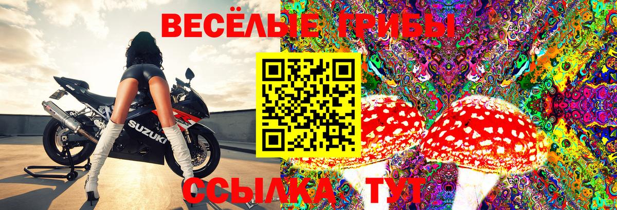Галлюциногенные грибы Psilocybe Копейск